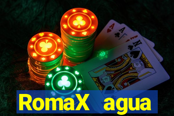 RomaX agua sanitaria fispq agua sanitaria romax